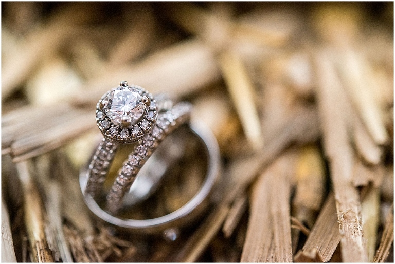 Richardson Farms-162.jpg