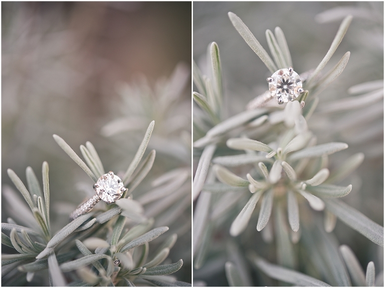 Patterson Park-36.jpg