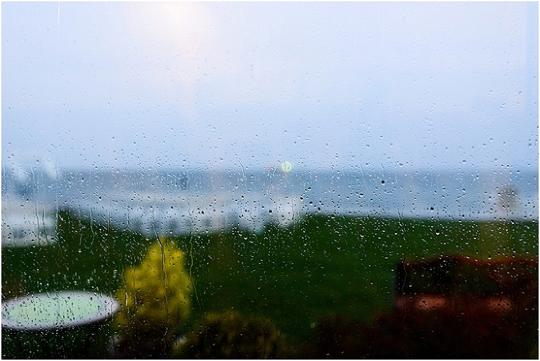 Kim Mike Silver Swan Bayside Wedding-148