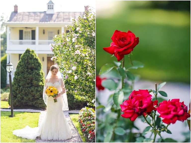 Antrim 1844 Summer Yellow Wedding-75