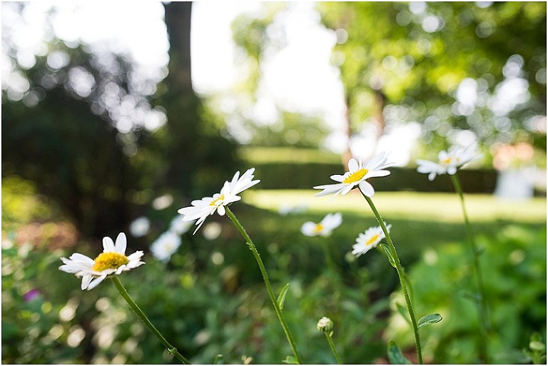 Antrim 1844 Summer Yellow Wedding-92