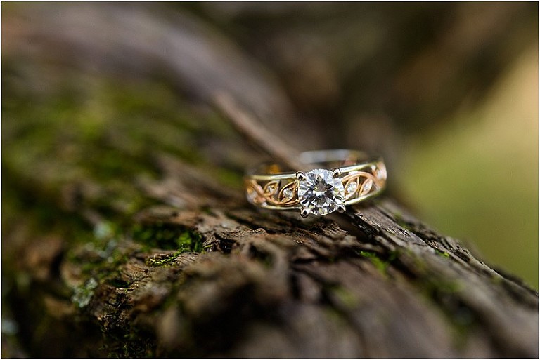 Great Falls Proposal Rachel Justin-30