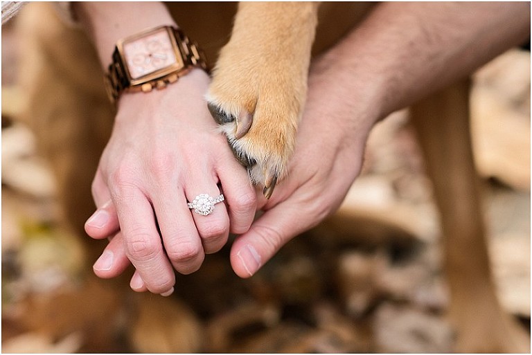 Patapsco Valley State Park Engagement Darci James-36