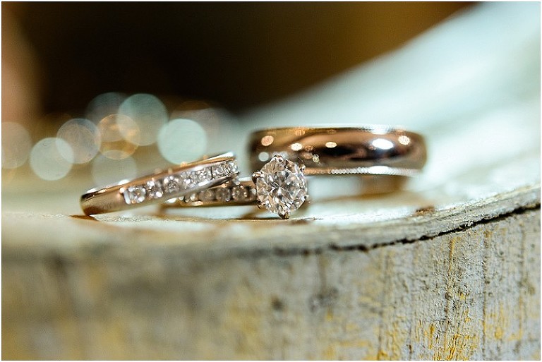 Kim Mike Silver Swan Bayside Wedding-154