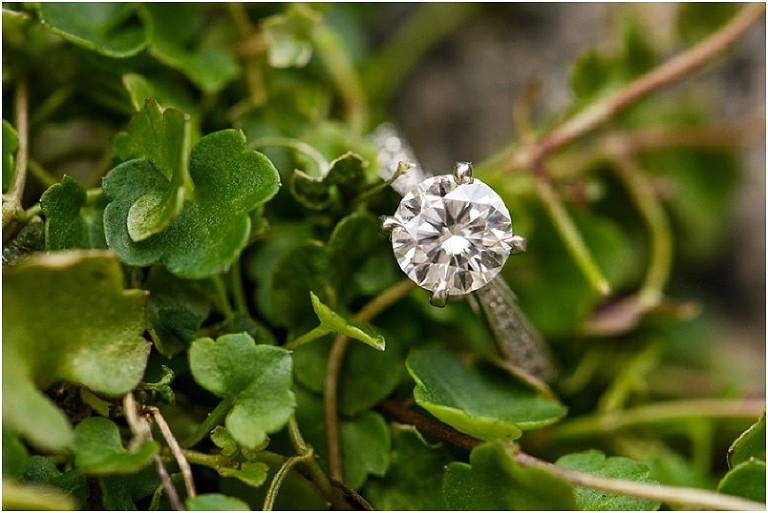 Ellicott City Engagement Photos Kaylan Chris-55