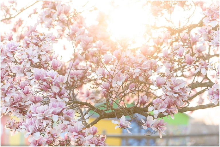 Oregon Ridge Engagement Lauren C Photography Katherine John -44