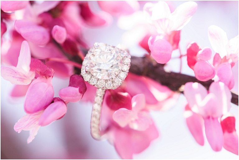 Baltimore Engagement Lauren C Photography Laura Eric-64