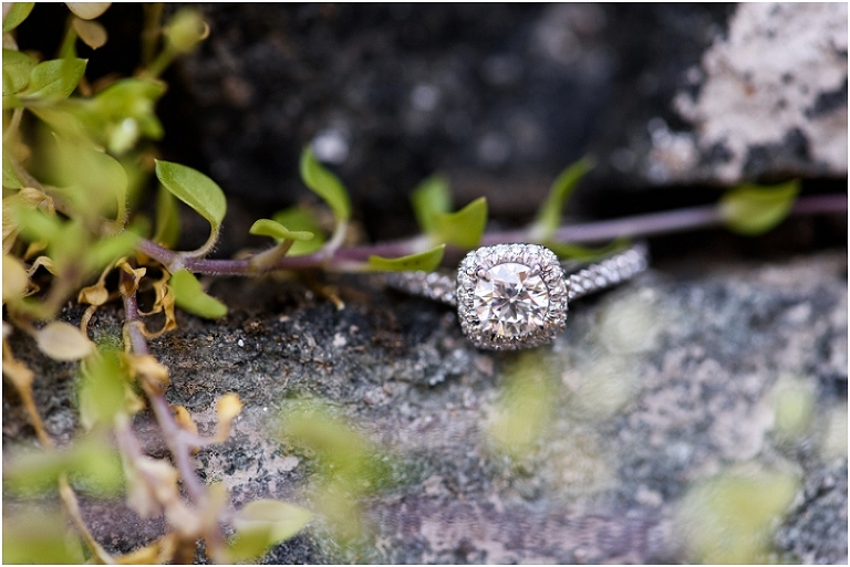 Georgetown DC Spring Engagement Megan Steve-50
