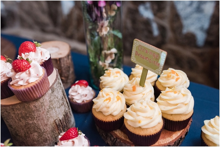 Deep Creek Lake Western Maryland Wedding Lauren C Photography-130