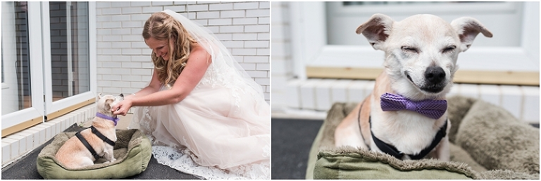 Deep Creek Lake Western Maryland Wedding Lauren C Photography-27