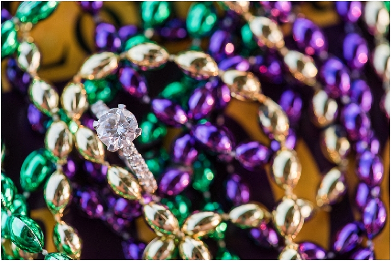 Jonas Green Park Annapolis Lauren C Photography Engagement-49