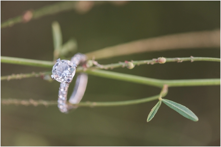 Jonas Green Park Annapolis Lauren C Photography Engagement-50