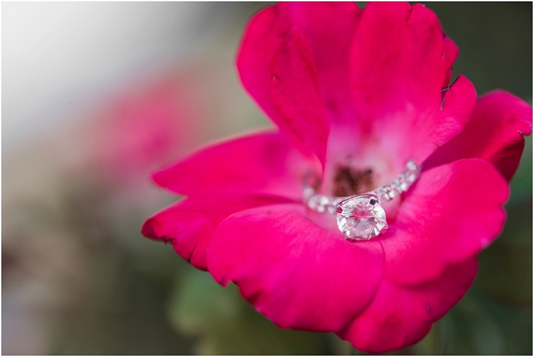 Jonas Green Park Annapolis Lauren C Photography Engagement-51