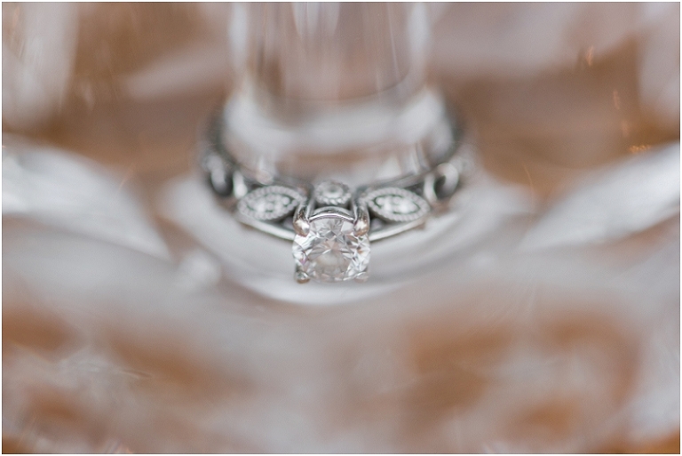 volt-restaurant-frederick-engagement-lauren-c-photography-30