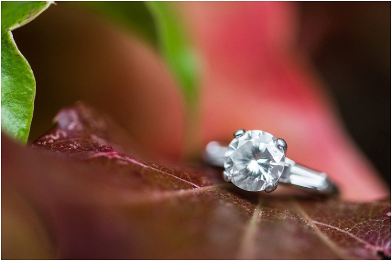 baltimore-federal-hill-fall-engagement-lauren-c-photography-sarah-patrick-59
