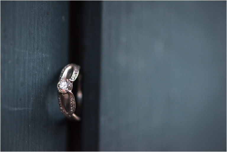 Annapolis Engagement Colleen Bobby Lauren C Photography-19