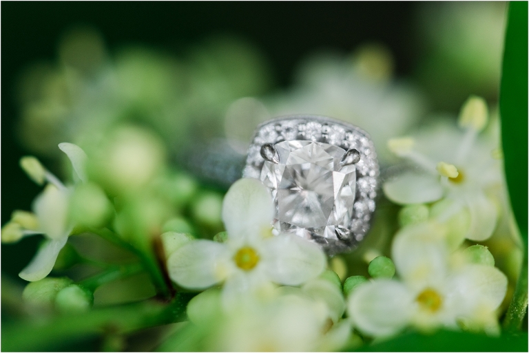 Washington DC Monuments Engagement Anne Frank-56