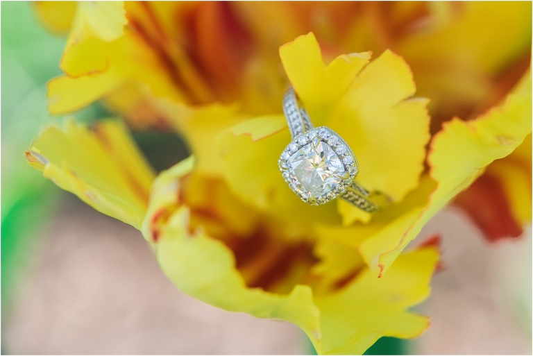 Washington DC Monuments Engagement Anne Frank-65