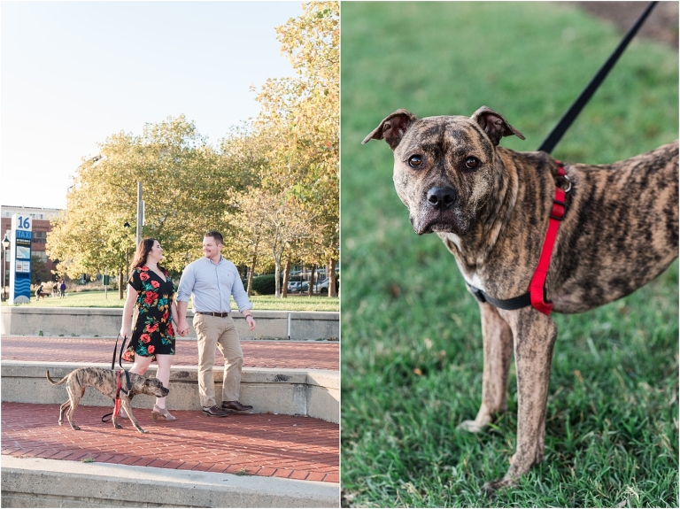 Canton Baltimore Nicole Andrew Engagement-33