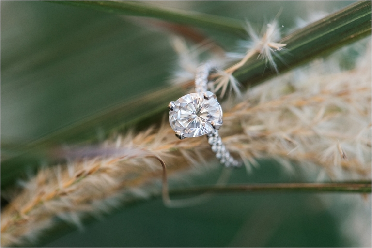 Canton Baltimore Nicole Andrew Engagement-34