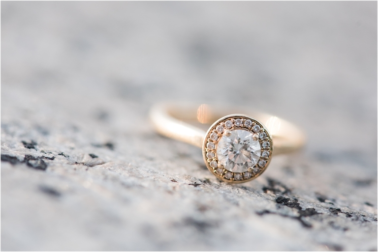 Washington DC Monuments Engagement Virginia Kris-58