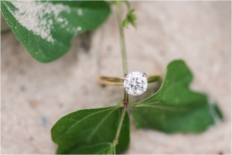 Epping Forest Annapolis Engagement-31